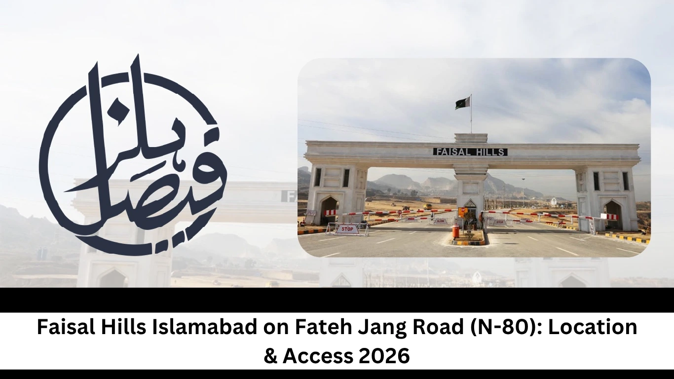 Faisal Hills N-80